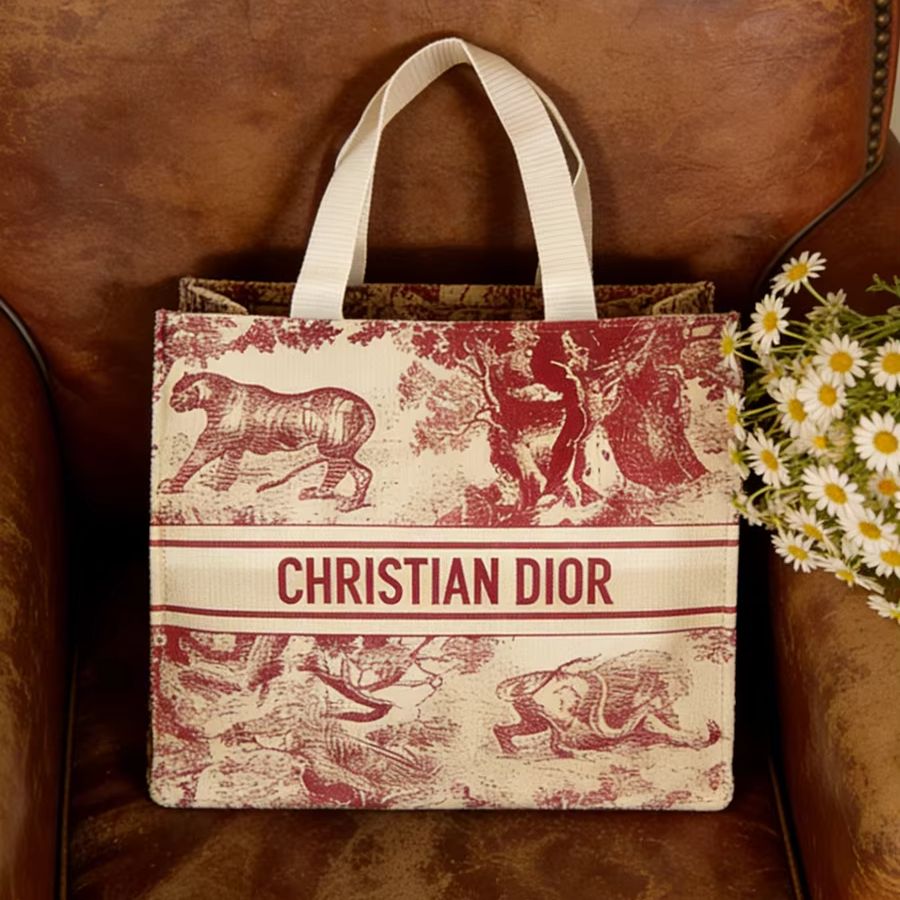 Bolso de Christian Dior, bolso - Women Bags Tote Dior reseña y precio