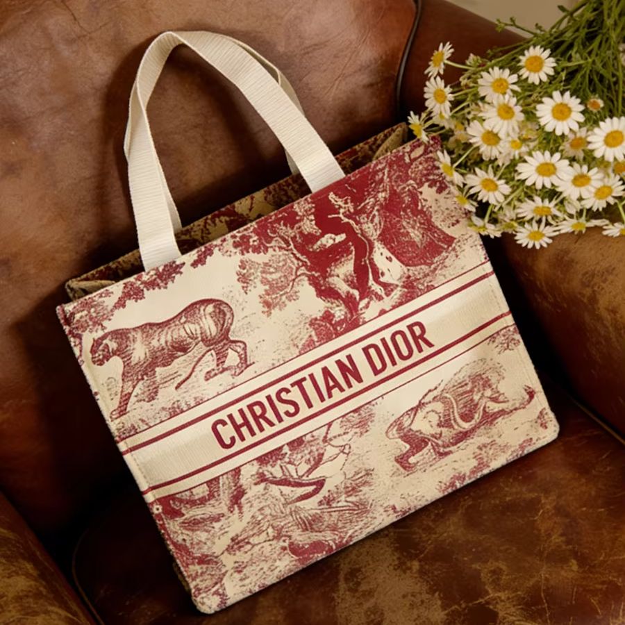 Bolso de Christian Dior, bolso - Women Bags Tote Dior reseña y precio