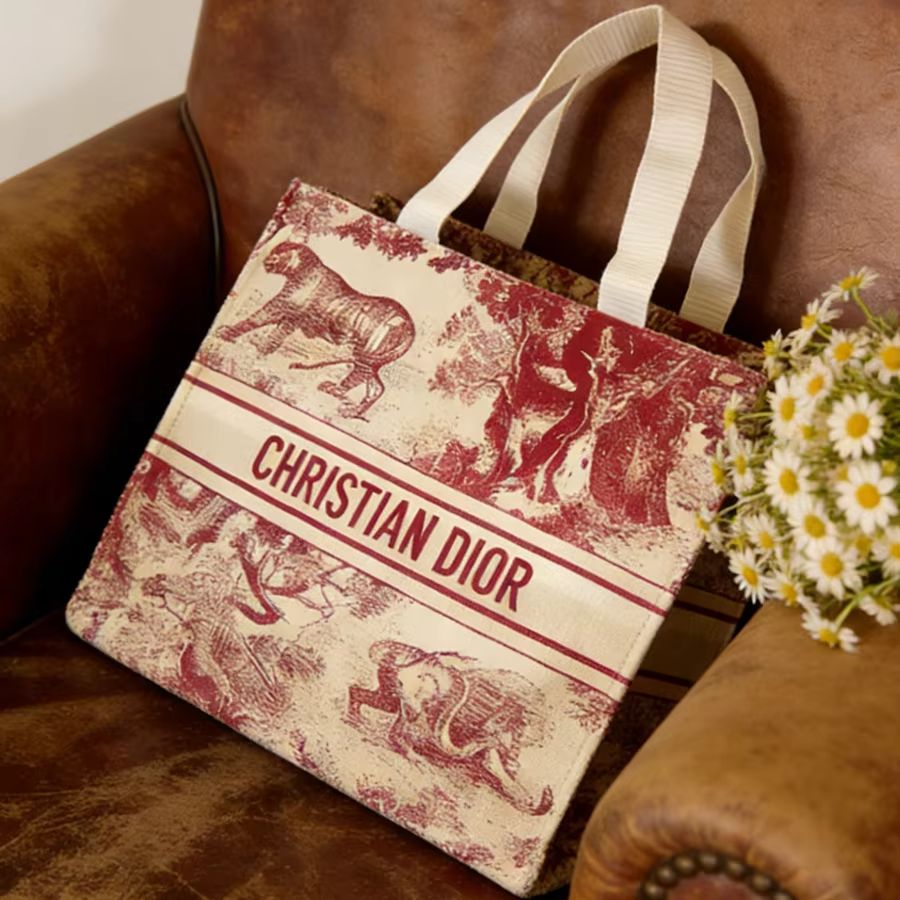 Bolso de Christian Dior, bolso - Women Bags Tote Dior reseña y precio